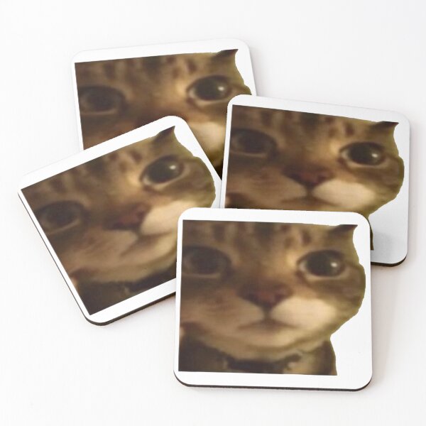 Item preview, staring cat designed and sold by catmemes4u.