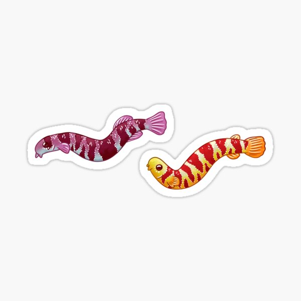Kuhli Loach Sticker