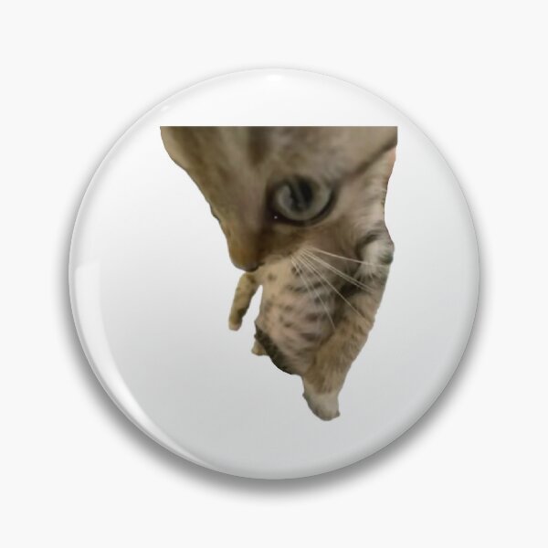 Item preview, 0.5 selfie cat designed and sold by catmemes4u.