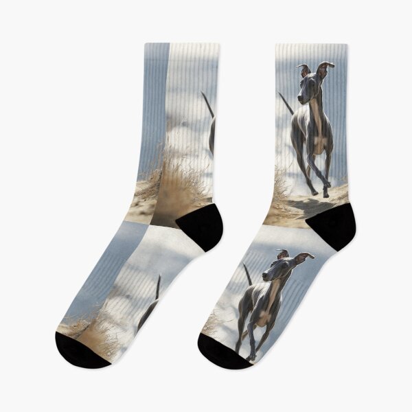Item preview, A sleek Italian Greyhound sprinting across a sunlit coastal path, Dogs in Motion designed and sold by CDC40.