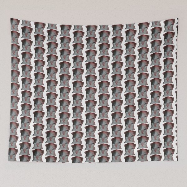 Item preview, i just just woke up cat designed and sold by catmemes4u.