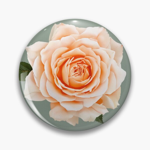 Item preview, Peach Rose Seamless Floral Pattern designed and sold by SassyArtistry.