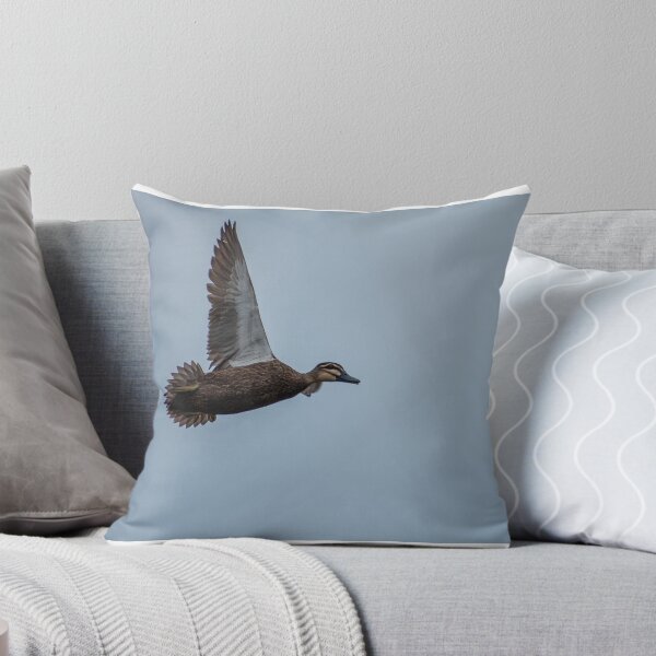 Item preview, flying Pacific Black Duck designed and sold by Dan Parish Photography.