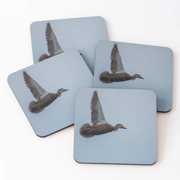 Item preview, flying Pacific Black Duck designed and sold by Dan Parish Photography.