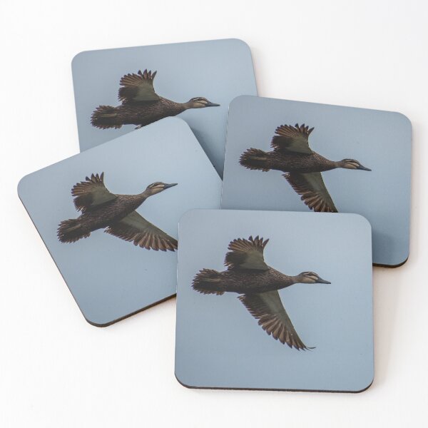 Item preview, Flying Pacific Black Duck designed and sold by Dan Parish Photography.
