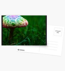 Magic mushroom Postcards