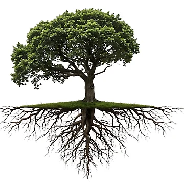 Artwork thumbnail, Floating Tree with Exposed Roots by saiful020