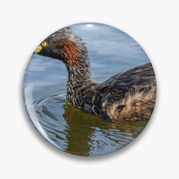 Item preview, Australasian Grebe designed and sold by Jan Fijolek.