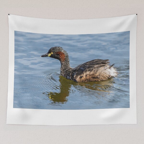 Item preview, Australasian Grebe designed and sold by Jan Fijolek.