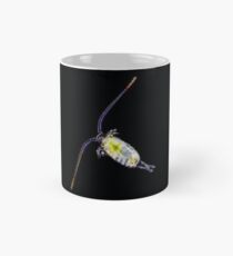 Copepod Mug