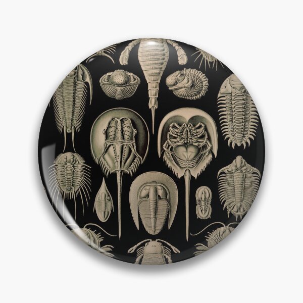 Item preview, Ernst Haeckel Aspidonia Horseshoe Crabs and Trilobites designed and sold by DudePal.