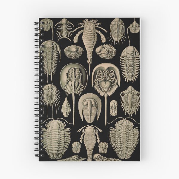 Item preview, Ernst Haeckel Aspidonia Horseshoe Crabs and Trilobites designed and sold by DudePal.
