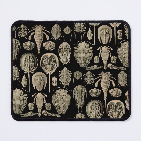 Item preview, Ernst Haeckel Aspidonia Horseshoe Crabs and Trilobites designed and sold by DudePal.