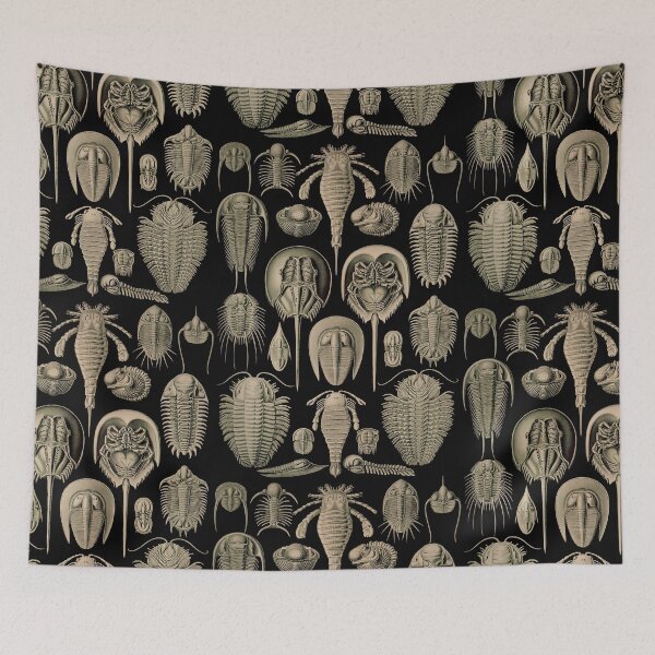 Item preview, Ernst Haeckel Aspidonia Horseshoe Crabs and Trilobites designed and sold by DudePal.