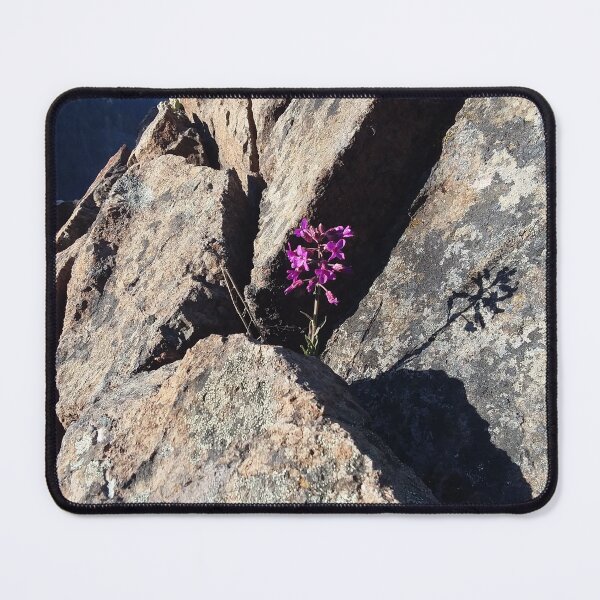 Item preview, Resilient Bloom – Delicate Flower Growing Through Stone at Taylor Creek Falls designed and sold by tracerammo1.