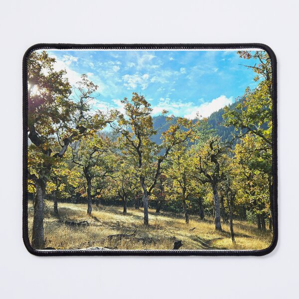 Item preview, Quiet Morning in the Oaks – Enchanted Autumn Grove Photography designed and sold by tracerammo1.