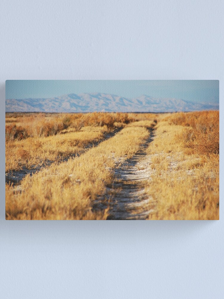 Alternate view of Road to Nowhere Canvas Print