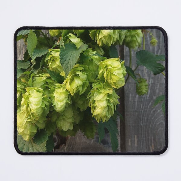 Item preview, Hop Flowers on Weathered Wood – Green Botanical Close-Up Photography designed and sold by tracerammo1.