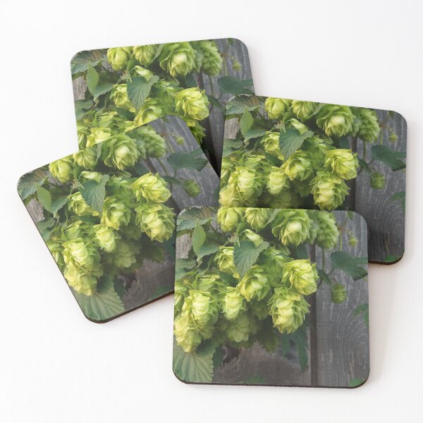 Item preview, Hop Flowers on Weathered Wood – Green Botanical Close-Up Photography designed and sold by tracerammo1.