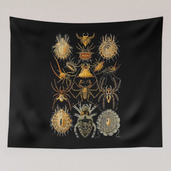 Item preview, Spiders designed and sold by gvwaefle39.
