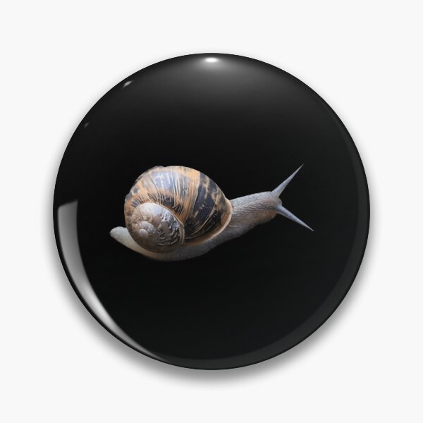 Item preview, Slimy Common Garden Snail designed and sold by gvwaefle39.