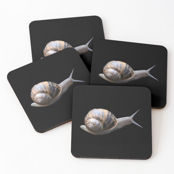 Item preview, Slimy Common Garden Snail designed and sold by gvwaefle39.