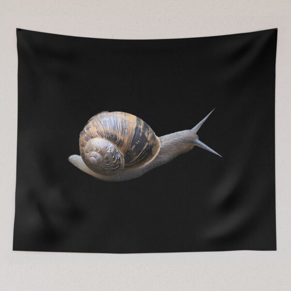 Item preview, Slimy Common Garden Snail designed and sold by gvwaefle39.