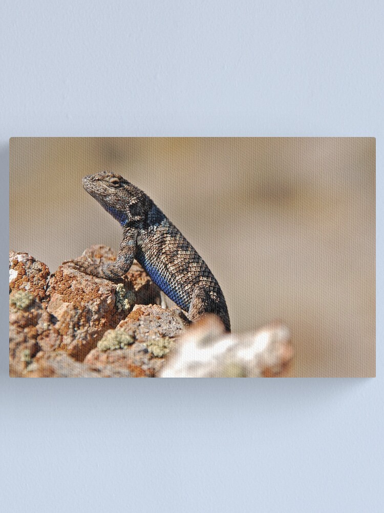 Alternate view of Nevada Lizard Canvas Print