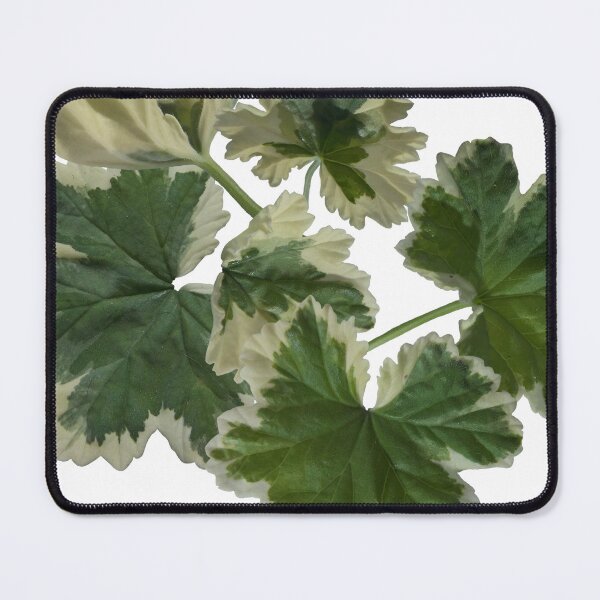 Item preview, Curly Leaves designed and sold by Brigitte Barabas.