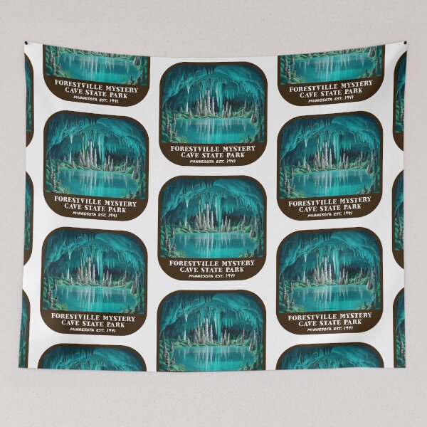 Item preview, Vintage Forestville Mystery Cave State Park (Minnesota State Park) designed and sold by RabbitK.