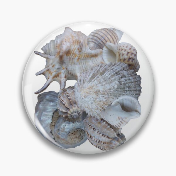 Item preview, Sea Shells designed and sold by Brigitte Barabas.