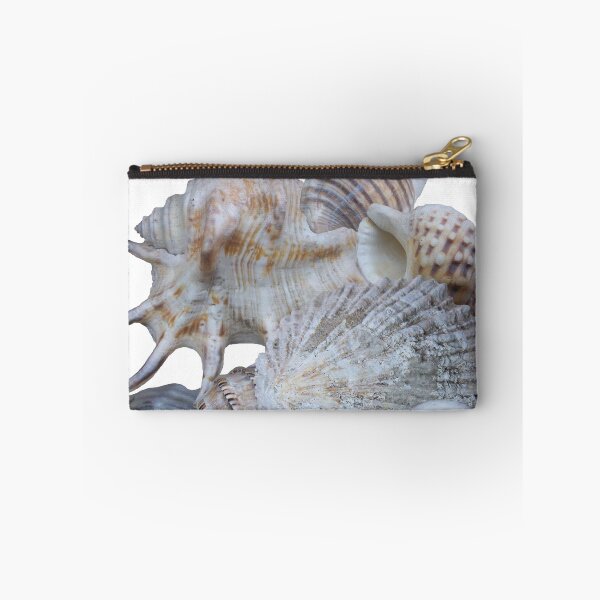 Item preview, Sea Shells designed and sold by Brigitte Barabas.
