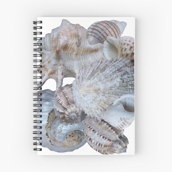 Item preview, Sea Shells designed and sold by Brigitte Barabas.