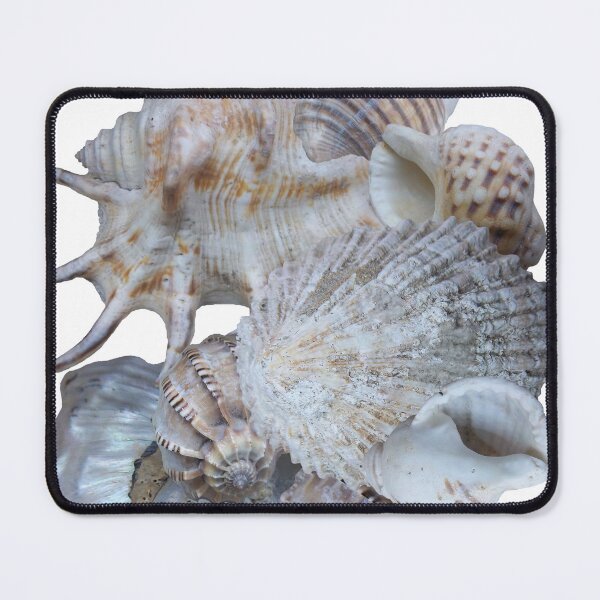 Item preview, Sea Shells designed and sold by Brigitte Barabas.