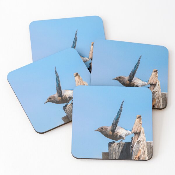 Item preview, Shield Up designed and sold by DawsonImages.