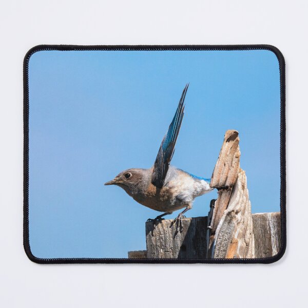 Item preview, Shield Up designed and sold by DawsonImages.