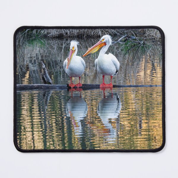 Item preview, White Pelican Reflections designed and sold by DawsonImages.