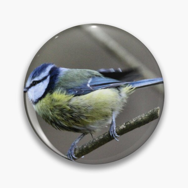 Item preview, blue tit designed and sold by KathleenDawson.