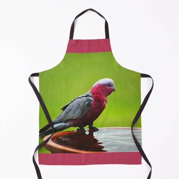 Item preview, Galah at The Birdbath designed and sold by Joy Watson - Natural Light Photography .