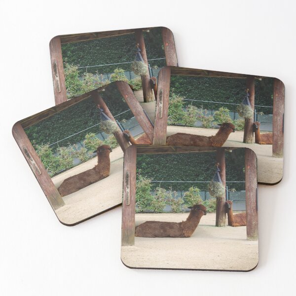 Item preview, Alpacas designed and sold by Belles-Photos.
