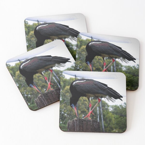 Item preview, Birb designed and sold by Belles-Photos.