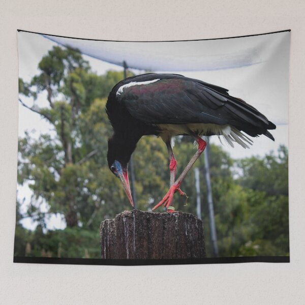 Item preview, Birb designed and sold by Belles-Photos.