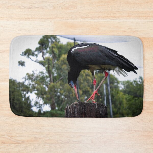 Item preview, Birb designed and sold by Belles-Photos.