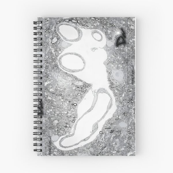 Item preview, Black and White Collection: Caterpie designed and sold by MicroLife-DSG.