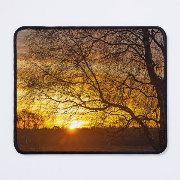 Item preview, Morning glory in December designed and sold by jchanders.