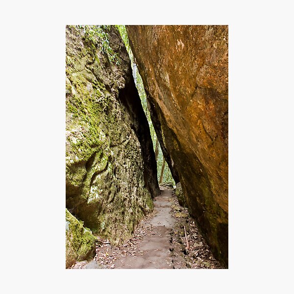 Escape! Photographic Print