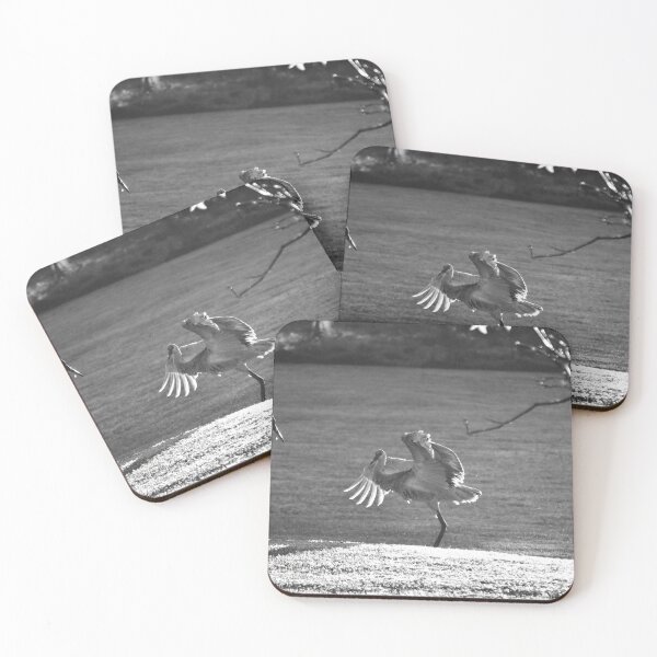 Item preview, Cranes Dancing in Monochrome designed and sold by MercerImages.