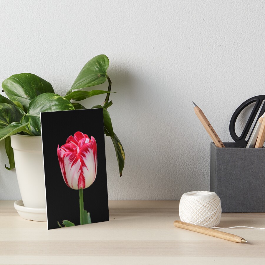 Item preview, Art Board Print designed and sold by RREID84.