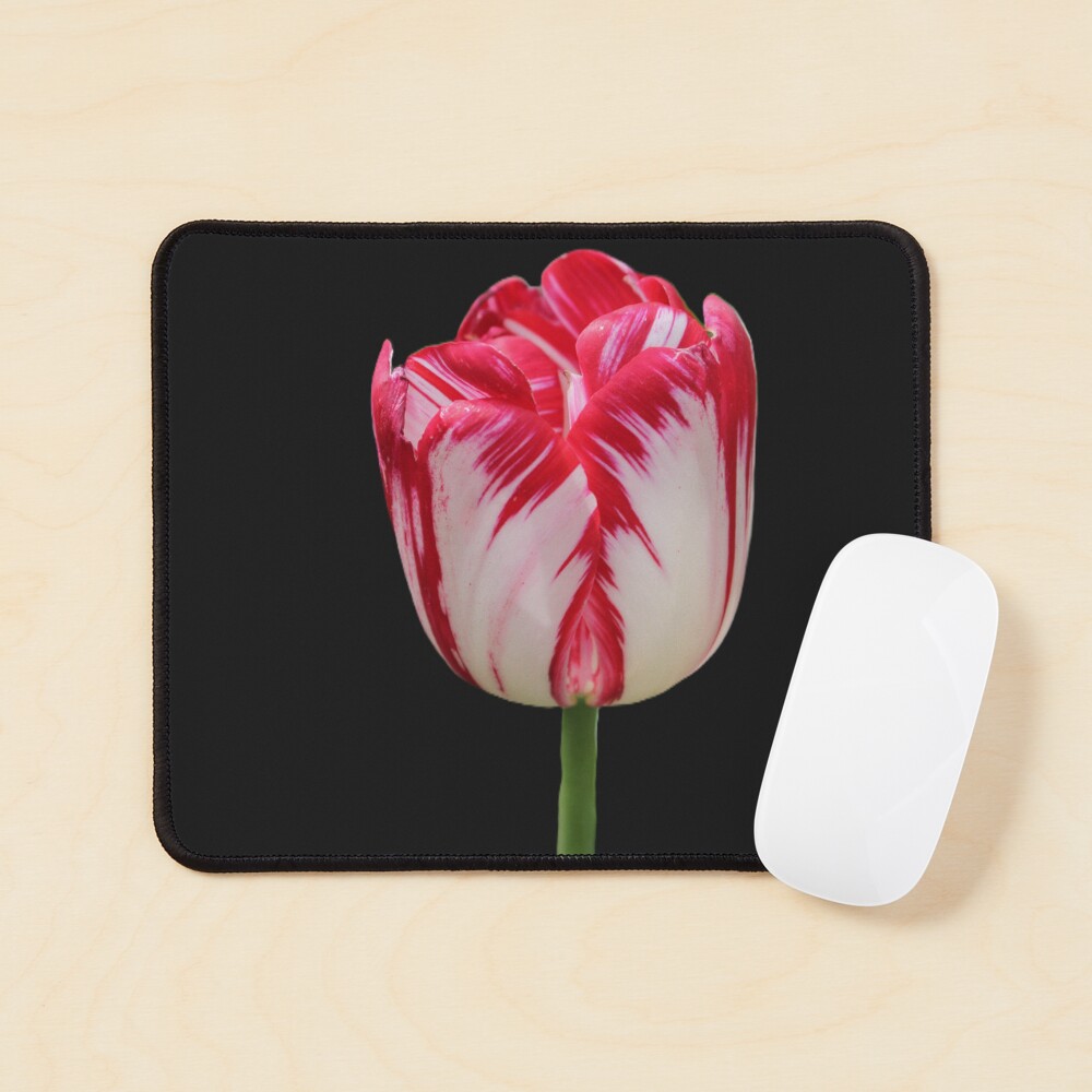 Item preview, Mouse Pad designed and sold by RREID84.