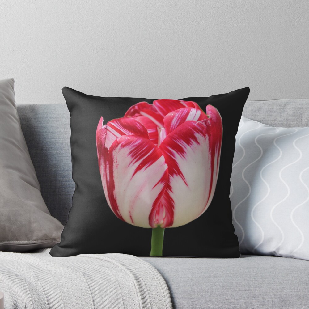 Item preview, Throw Pillow designed and sold by RREID84.